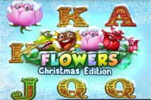 Flowers Christmas Edition