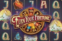 Turn Your Fortune