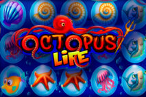Octopus Life