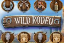 Wild Rodeo