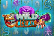 Wild Ocean