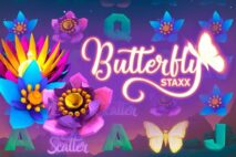 Butterfly Staxx
