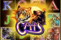 Cats