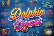 Dolphin Quest