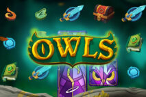 Owls