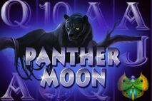 Panther Moon