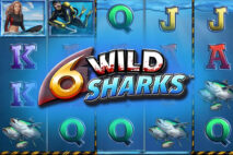 6 Wild Sharks