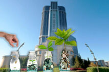 Июньский доход казино Детройта за год вырос на 2,9%